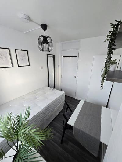 2 rooms ! - Mile End - Beautiful Flat! - Now ! Main Photo