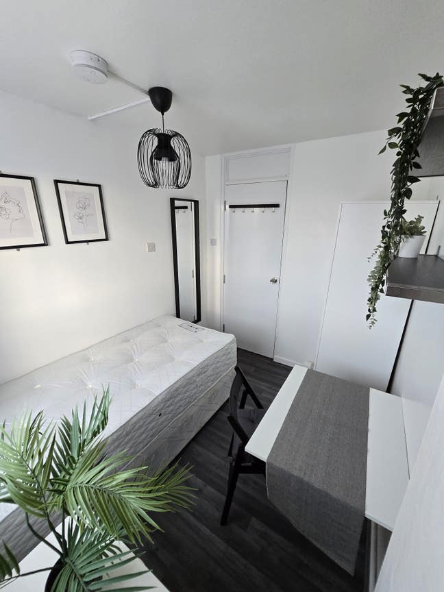 2 rooms ! - Mile End - Beautiful Flat! - Now ! Main Photo