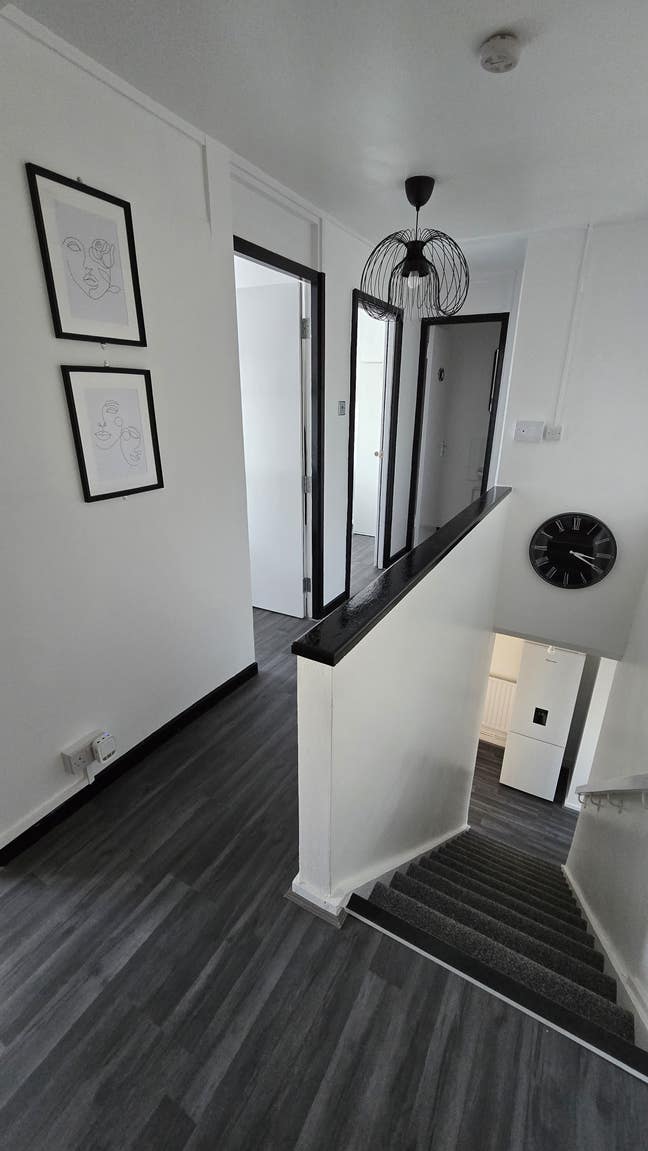 2 rooms ! - Mile End - Beautiful Flat! - Now ! Main Photo