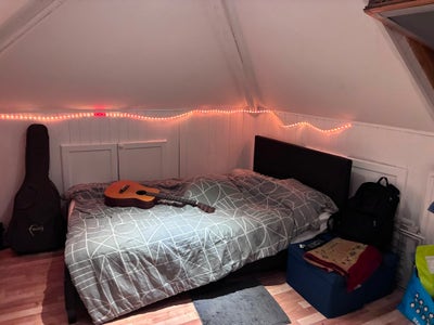 Two Double Rooms Available! Main Photo
