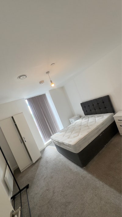 Double bed room in a 2 bedroom 2 bath apartment  Main Photo