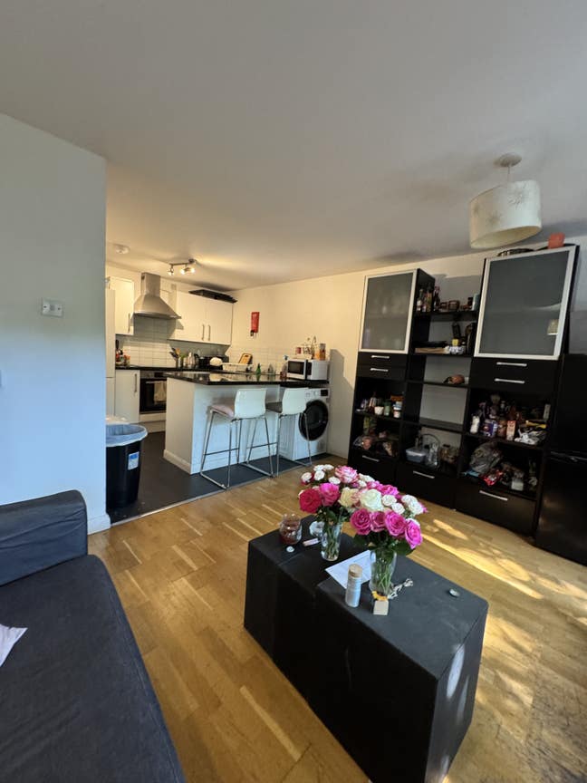 Spacey double room,friendly house, Shepherd's Bush Main Photo