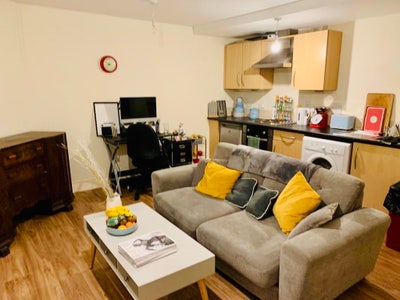 1 Double bedroom flat 5 minutes from Bristol Unive Main Photo
