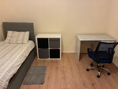Room in Flat in Camelon, Falkirk Main Photo