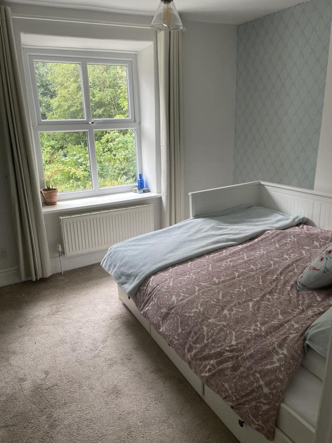 Room available in cosy house Main Photo