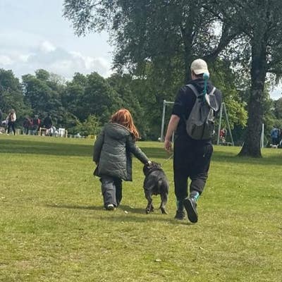 31 year old Male seeks a single or double room Main Photo
