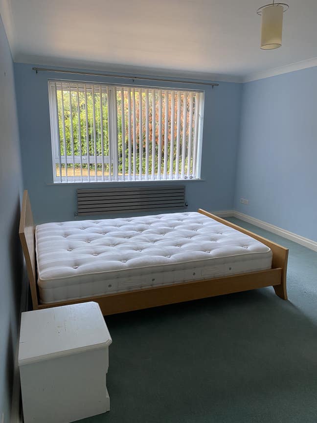 Superb double room in ground floor flat Main Photo