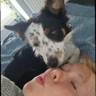 28 year old Female seeks a double room Main Photo