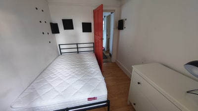 Double Room in Friendly, Relaxed House  Main Photo