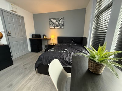 Spacious ensuite high-standard double bedroom Main Photo