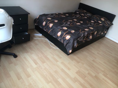 Amazing room in se17 Main Photo