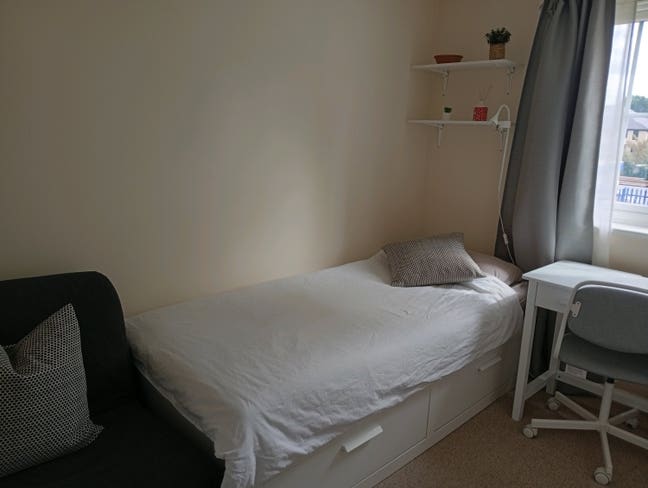 Single room available  Main Photo