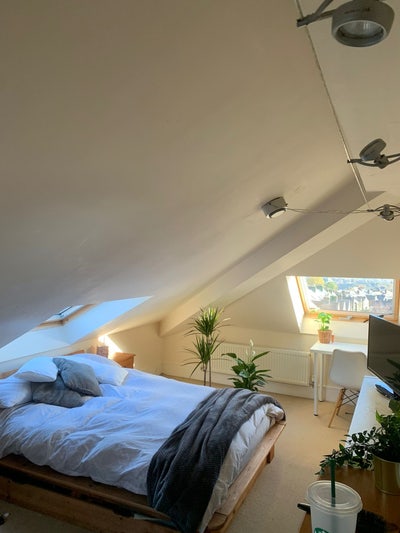 Double en-suite room in Crookes  Main Photo
