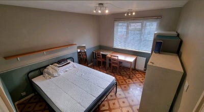 LATEST - Massive Double Room - quiet house - East Main Photo