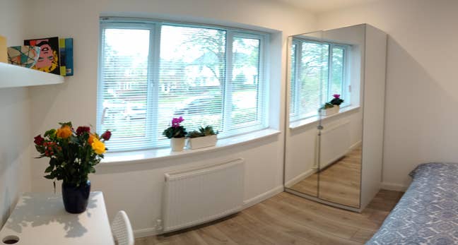 Modern new large double room in a flat with garden Main Photo