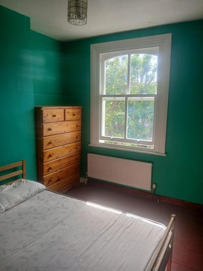 Comfortable room in family homè. Available now Main Photo