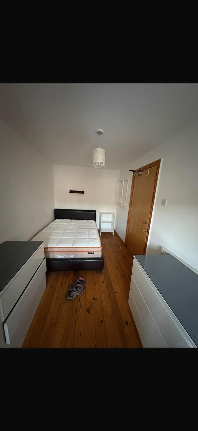 All girls sociable house! Main Photo