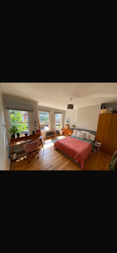 Looking for a new housemate  Main Photo