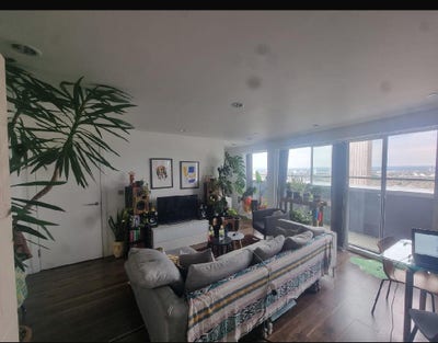 Large, Chilled Flat with Two Friendly Professional Main Photo