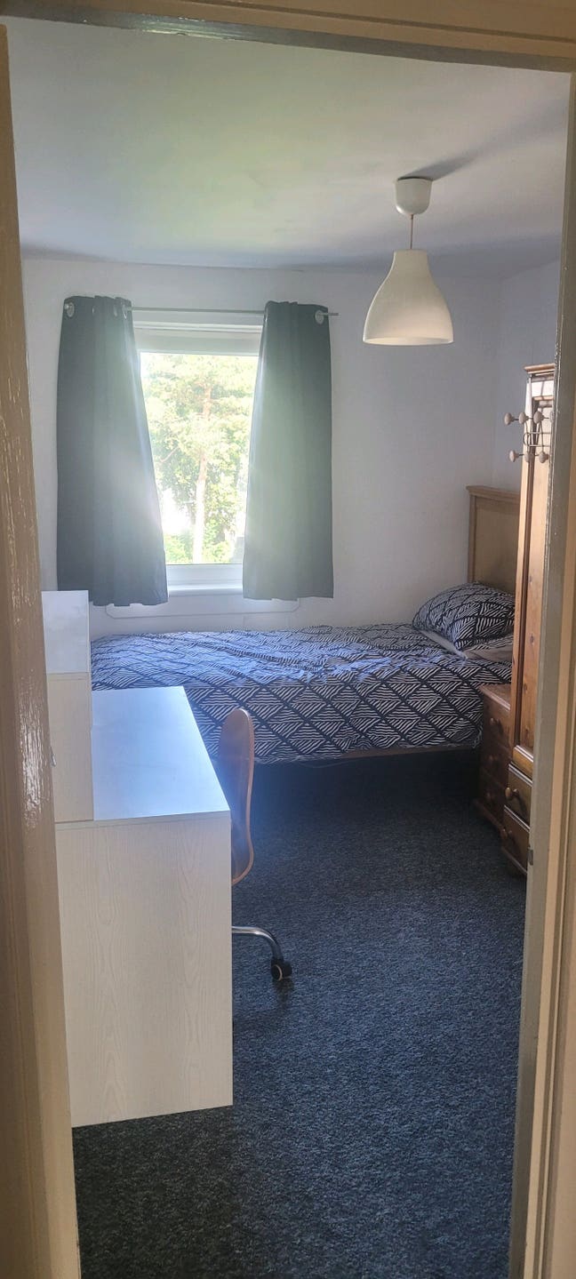 Single room for rent Main Photo
