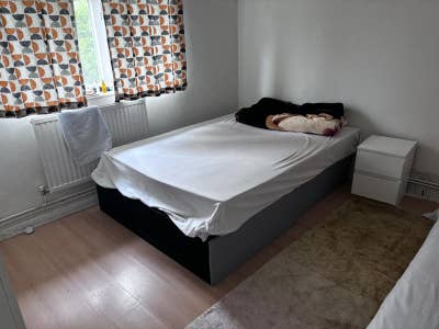 Amazing room in Swiss cottage Main Photo