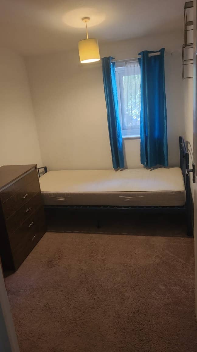 Single/Double Room Available for Vegetarians  Main Photo