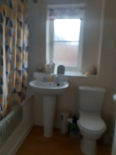 Double room for rent Main Photo