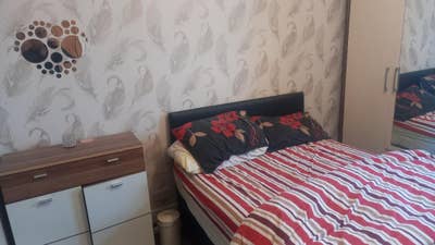 Beautiful room available Main Photo