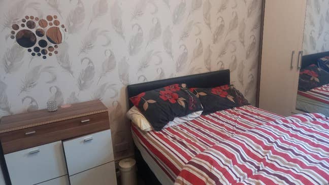 Beautiful room available Main Photo