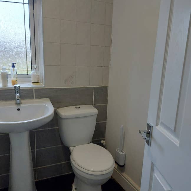 Single room for rent Main Photo