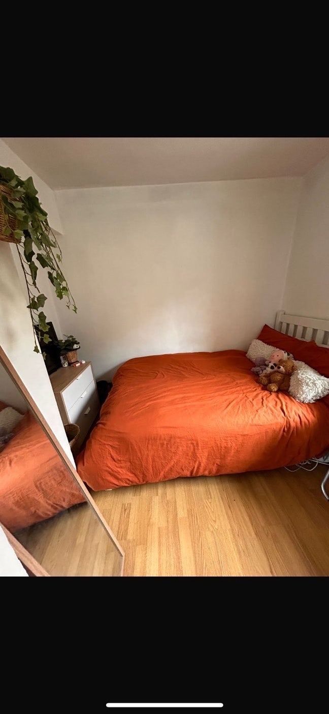 Room in Whitechapel zone 2 Main Photo