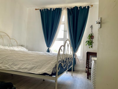 Double Room in Vegan Household Main Photo