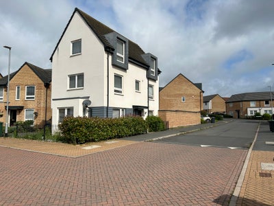 Large Double Room in New House in Great Location  Main Photo