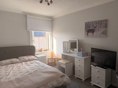 Double room to let  Main Photo