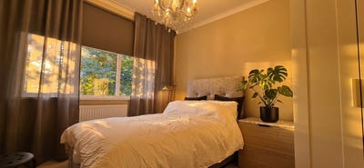 Lovely room in friendly flat with handy location. Main Photo