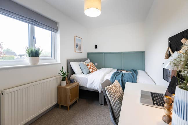 Great social space perfect for you 💚 Main Photo