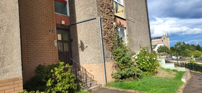 2 double room for rent  Main Photo