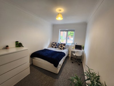 Affordable Rooms Next to Campus Main Photo