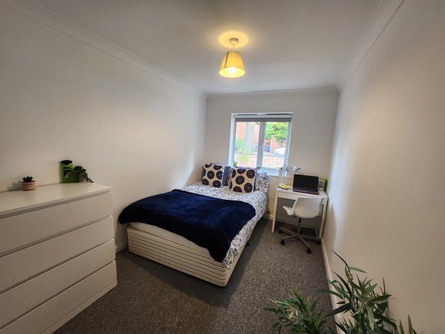 Affordable Rooms Next to Campus Main Photo