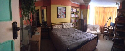 Huge room in colourful home with cats Main Photo