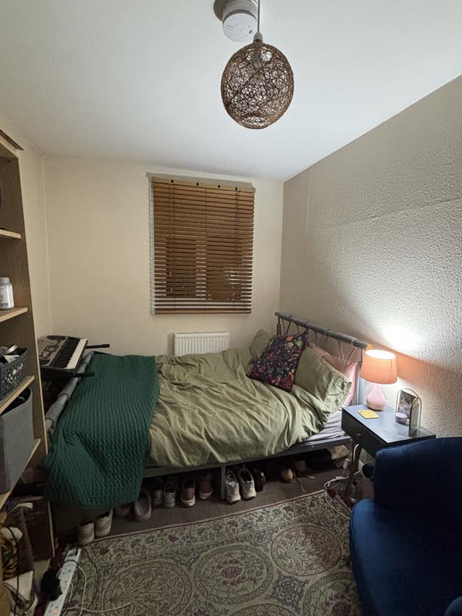 Room in cozy, homey Kentish Town Flat  Main Photo