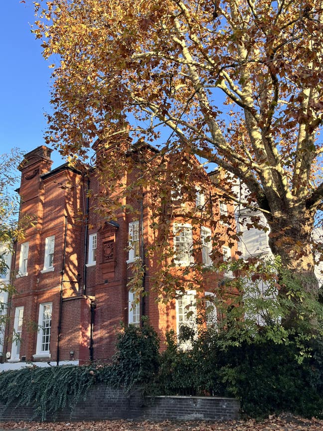 Beautiful 1-Bed Flat in Hampstead (Oct-Apr) Main Photo