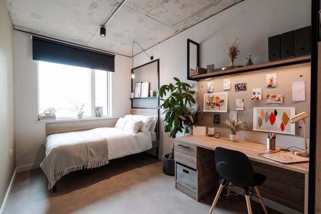 Superior En-suite room in YourTRIBE Southwark Main Photo
