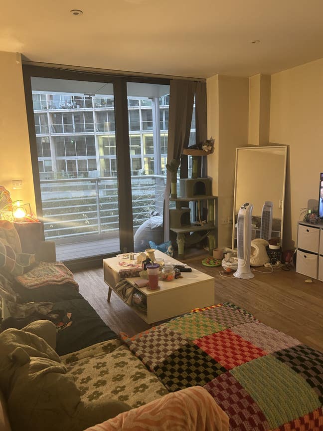 Spare room with own bathroom available!!  Main Photo