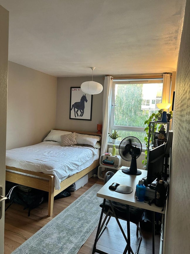 Double Bedroom in Haggerston  Main Photo