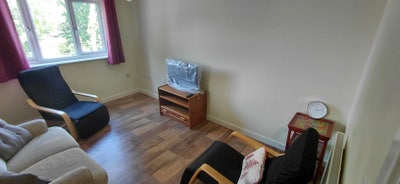 Short term let flat in Newport for 1 month  Main Photo