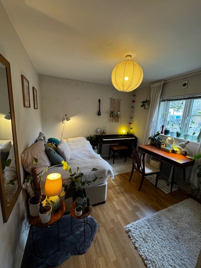 Double Room in New Cross flat  Main Photo