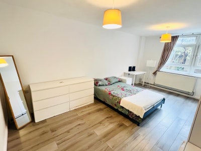 Large Room E1 5Ru Student Friendly Main Photo