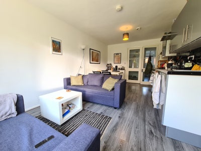 Freshly Refurbished 3 Bed | Ground floor Main Photo