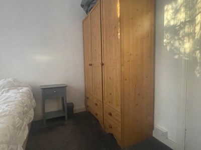  Furnished room available - Great transport & amen Main Photo
